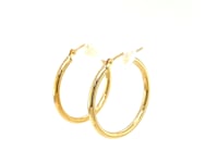 10k Yellow Gold Polished Hoop Earrings (2x25mm)